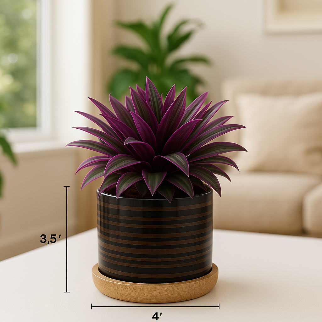Black Stripes Planter