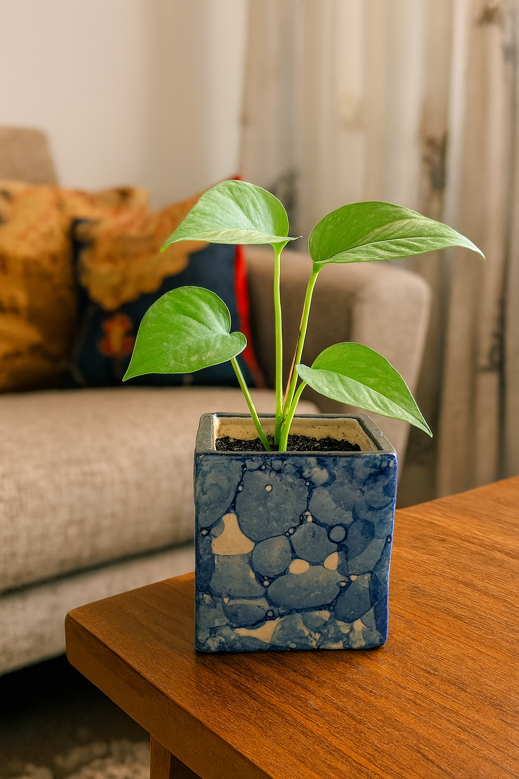 SAJAAO Ceramic Planter, Decorative Flower Pot for Indoor & Outdoor Gardening