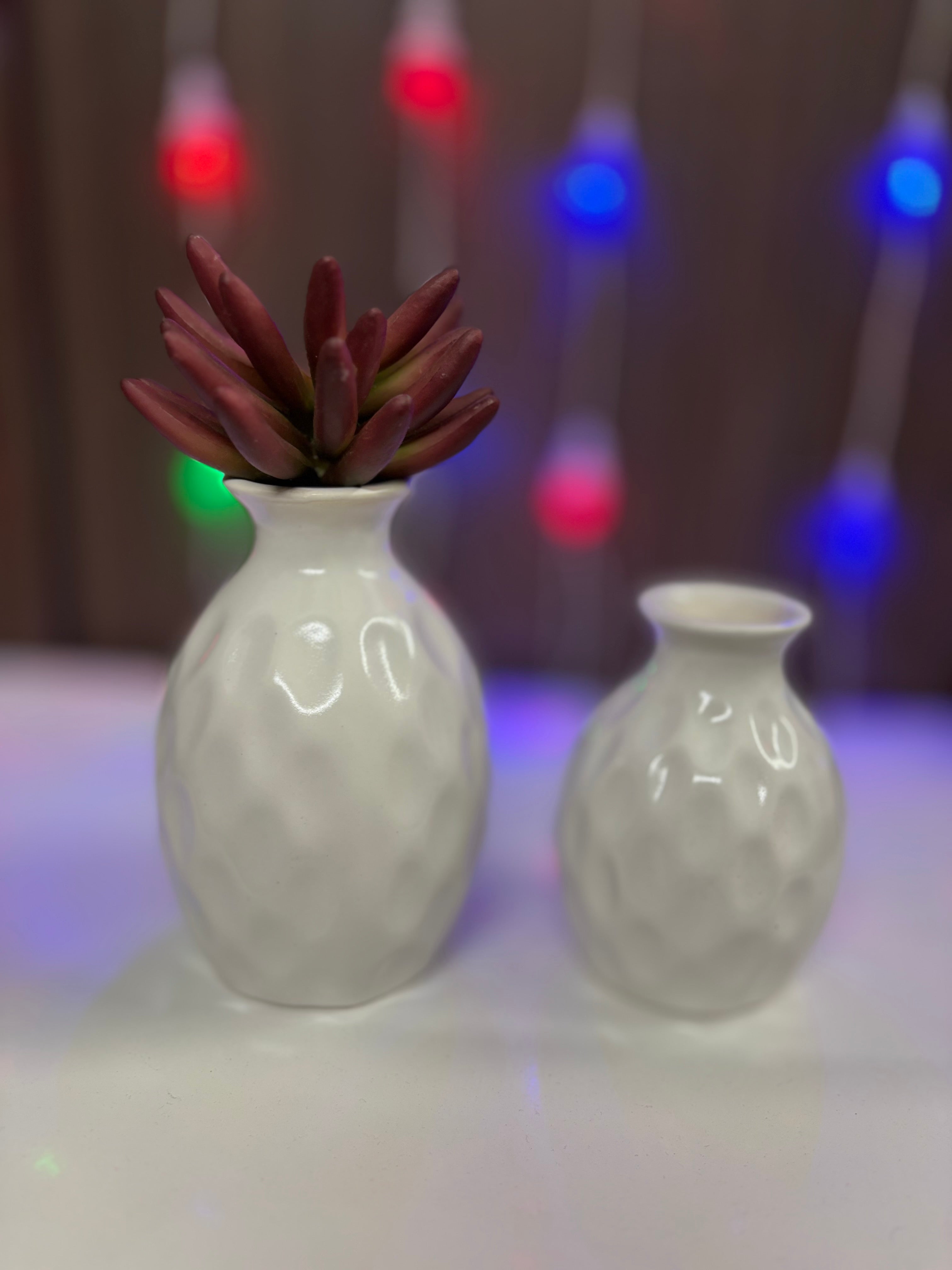 Elegant White Textured Ceramic Vase Set (2 Pieces)