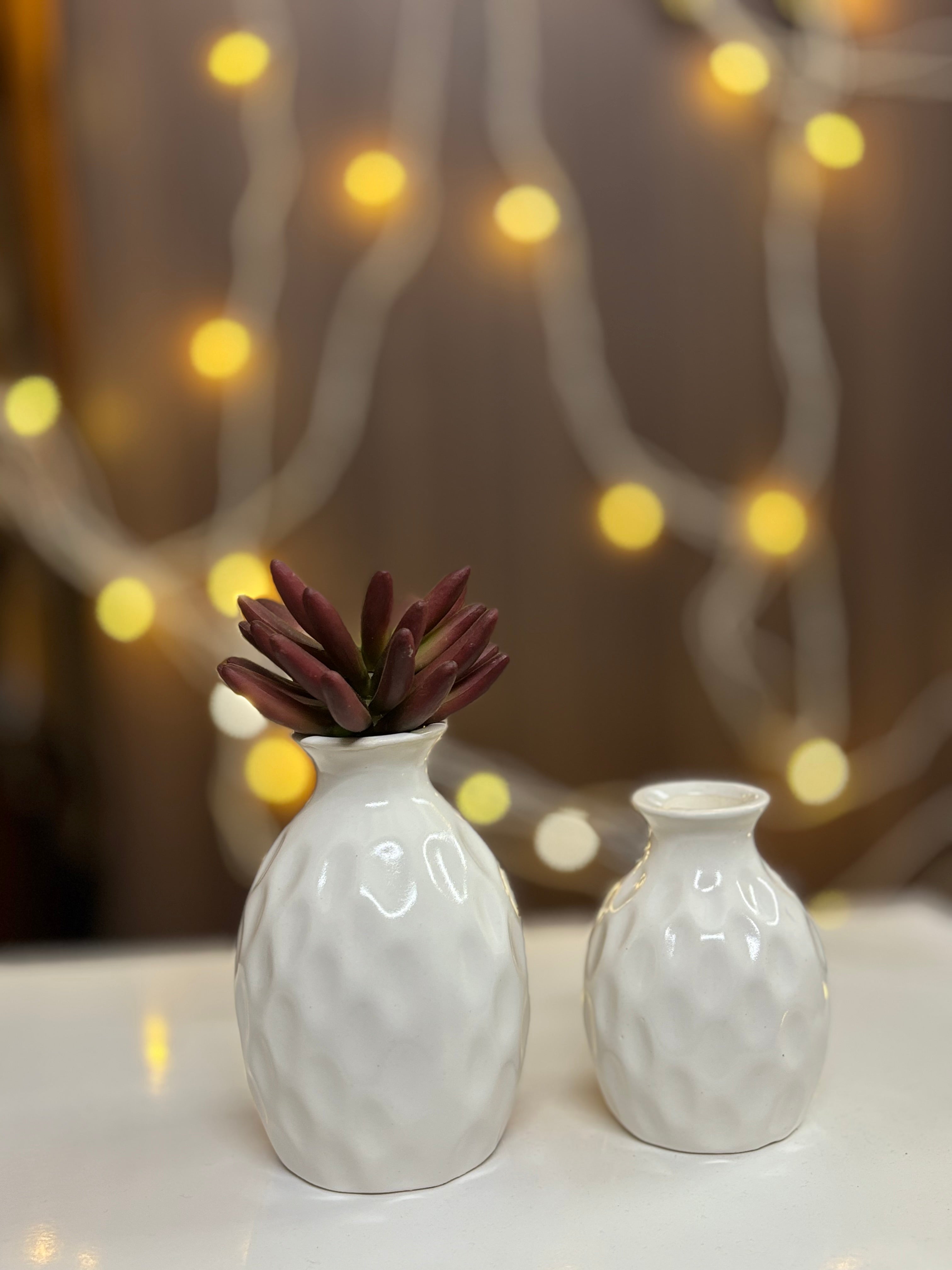 Elegant White Textured Ceramic Vase Set (2 Pieces)