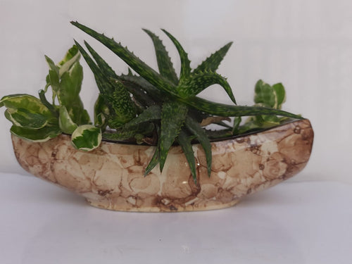 Boat Shaped Planter