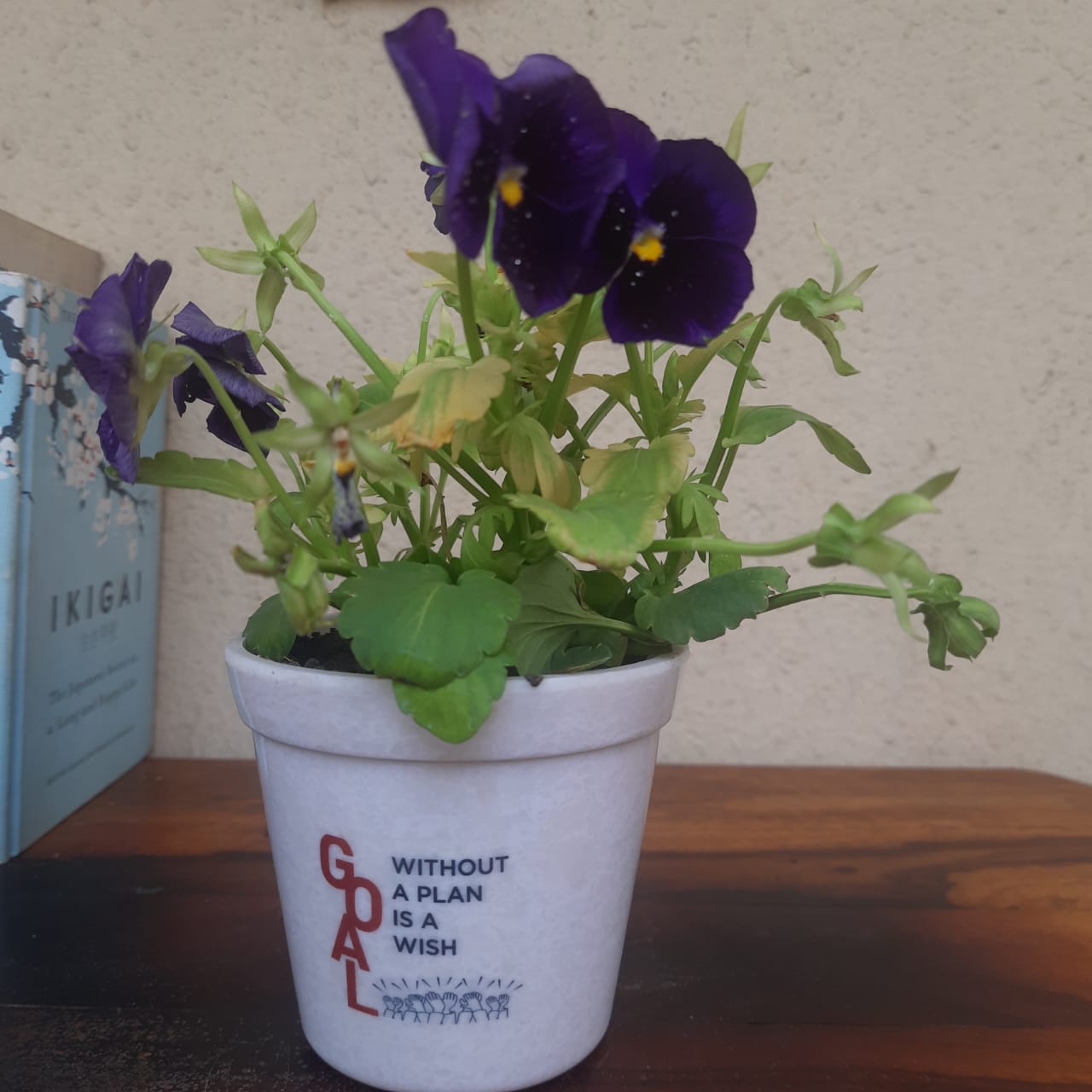 Melamine Planter Small Indoor -  Goal