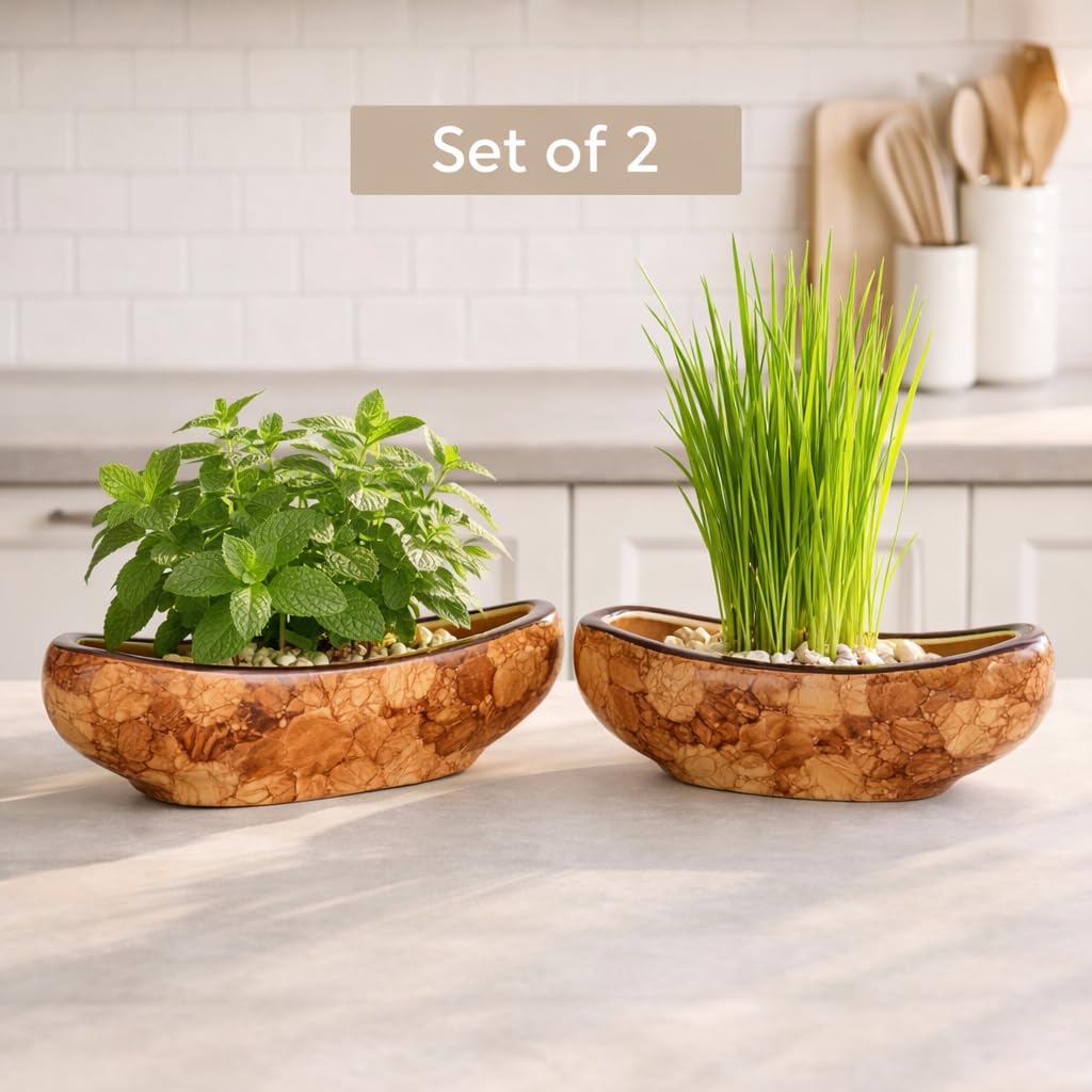 Sajaao Boat Ceramic Indoor Planters (Brown, Pack of 2, Plant not included)