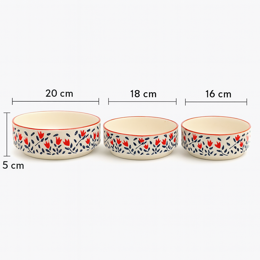 Sajaao Ceramic Salad Bowl Set , Serving snacks ceramic plates for Salad, Fruit, Ramen, Noodles, curries , Microwave and Dishwasher Safe, Floral Design with Orange Rim (Multicolour, Pack of 3)